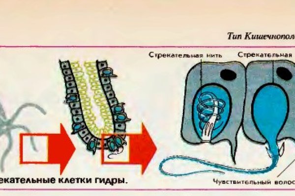 Кракен маркет плей