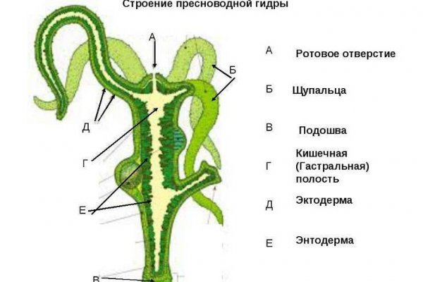 Кракен сайт телеграм